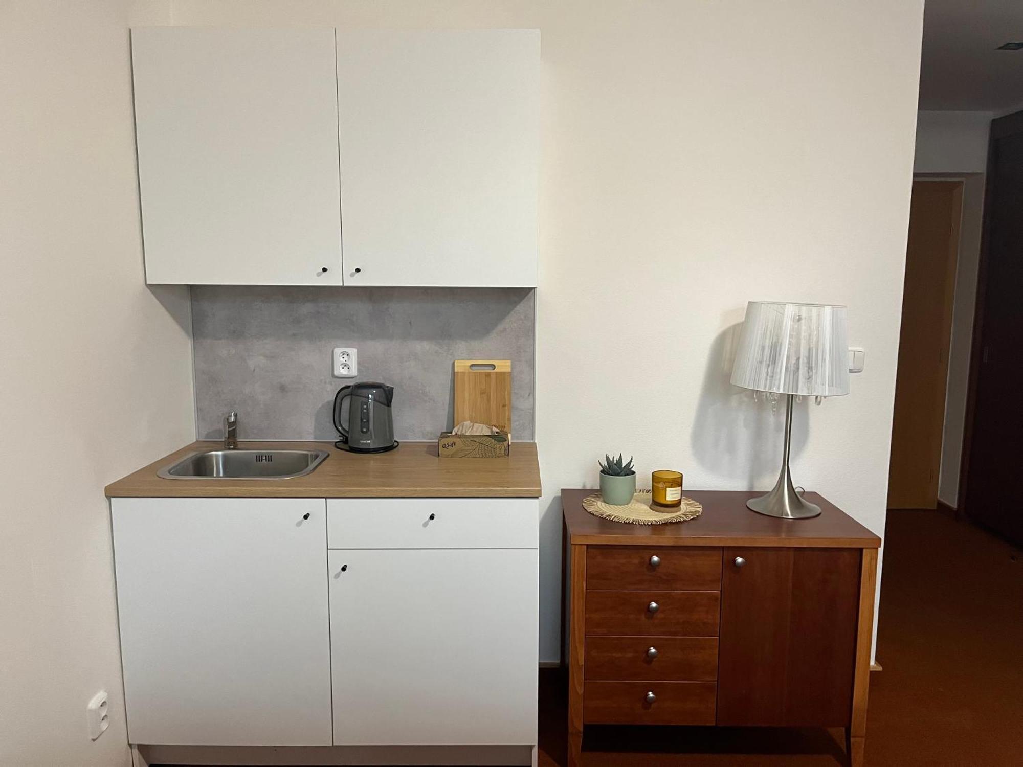 Simply Rooms 布尔诺附近斯拉夫科夫 外观 照片