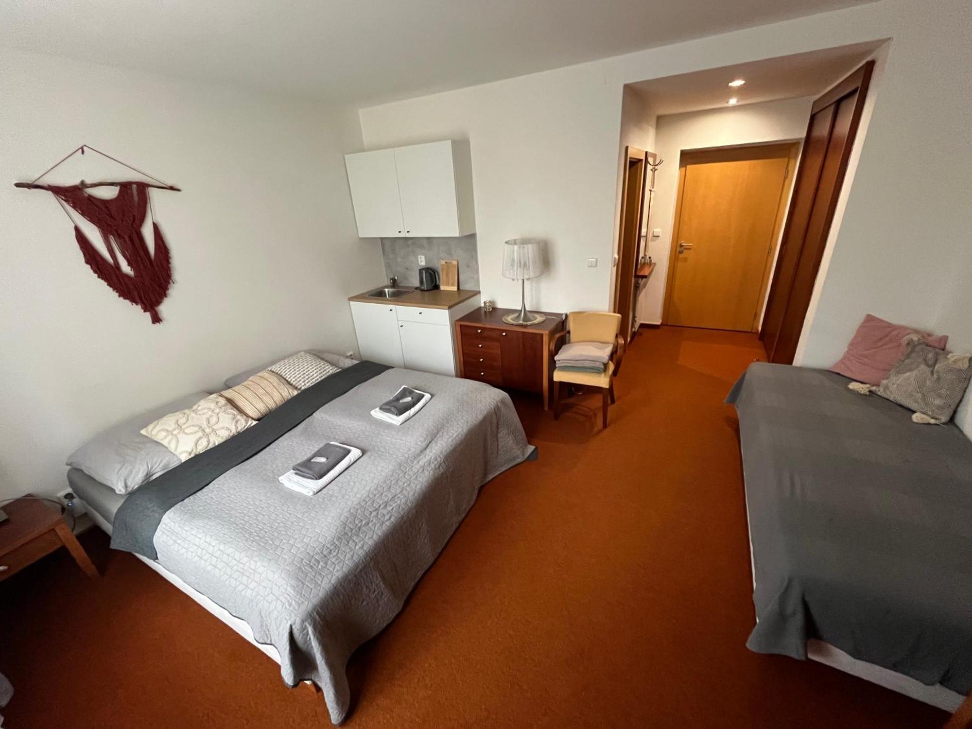Simply Rooms 布尔诺附近斯拉夫科夫 外观 照片